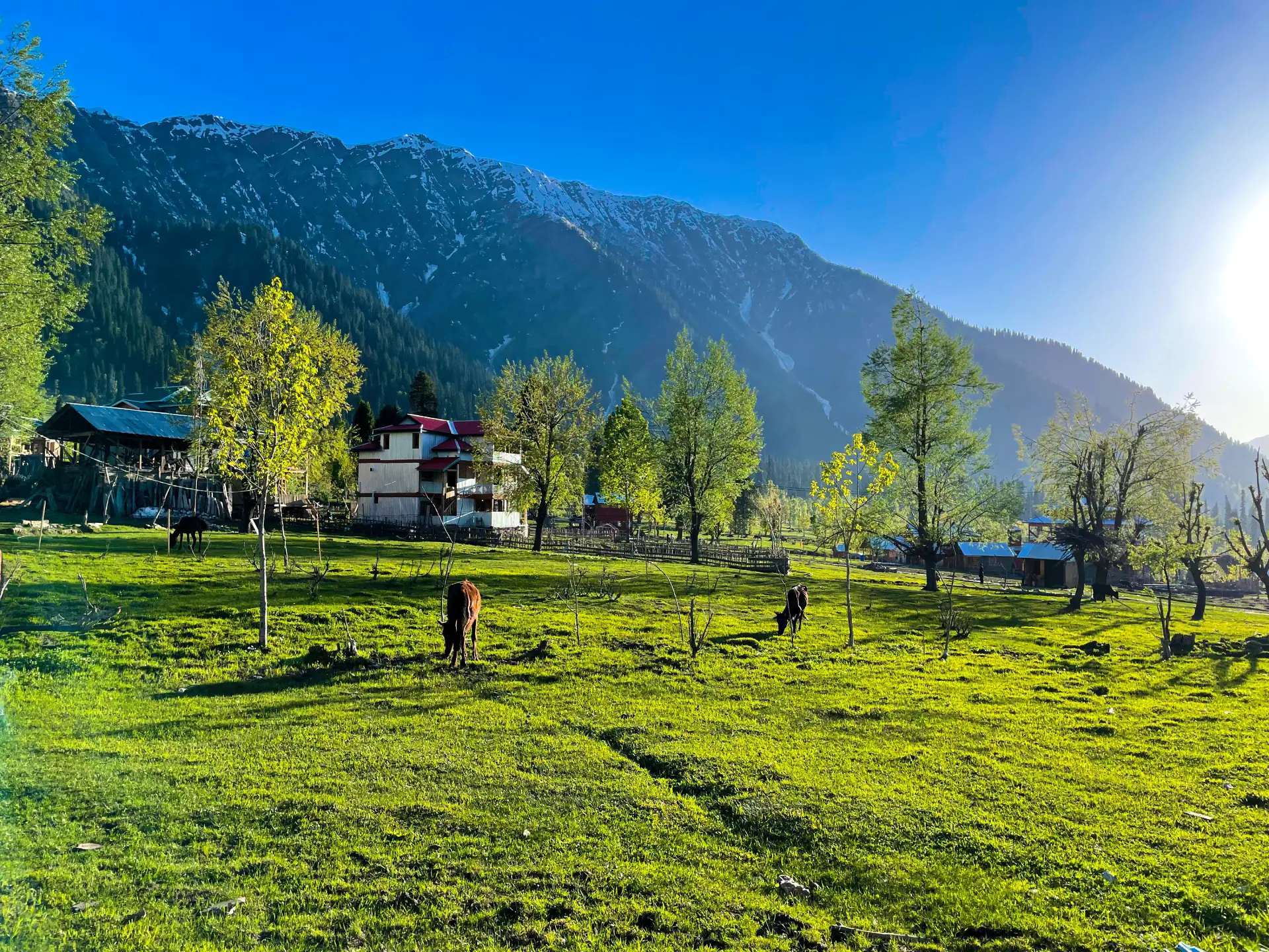 Dharamshala Dalhousie Khajjiar Tour Package – 4 Nights / 5 Days