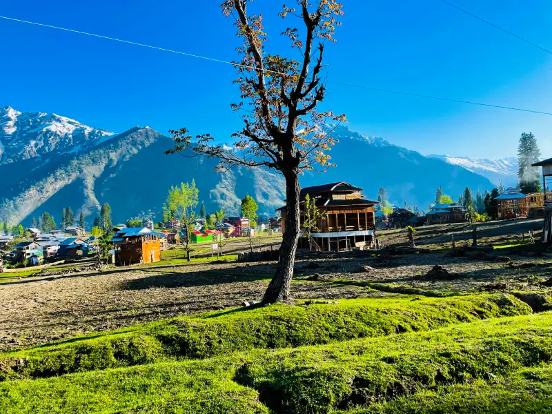 Kashmir Tour Package – 4 Nights / 5 Days